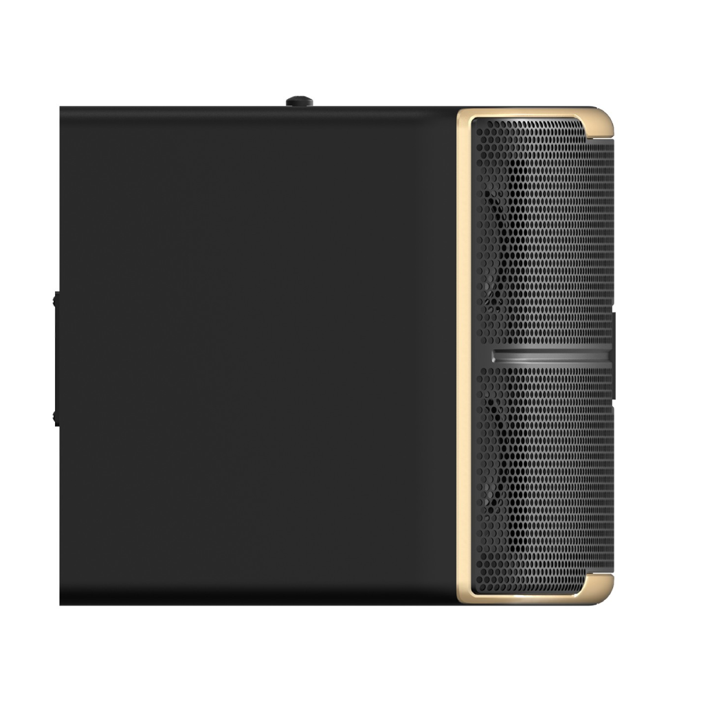 Loa Karaoke 10 Inches Paramax Z-1500 3