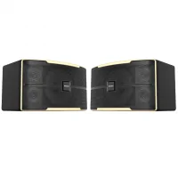 Loa Karaoke 12 Inches Paramax Z-2500