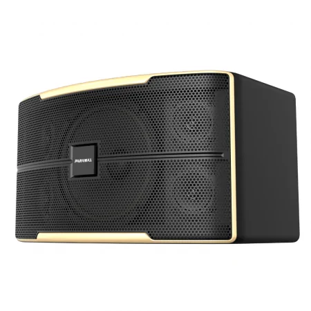 Loa Karaoke 12 Inches Paramax Z-2500 1