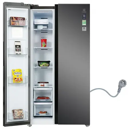 Tủ Lạnh Electrolux Inverter 624 Lít ESE6600A-AVN 1