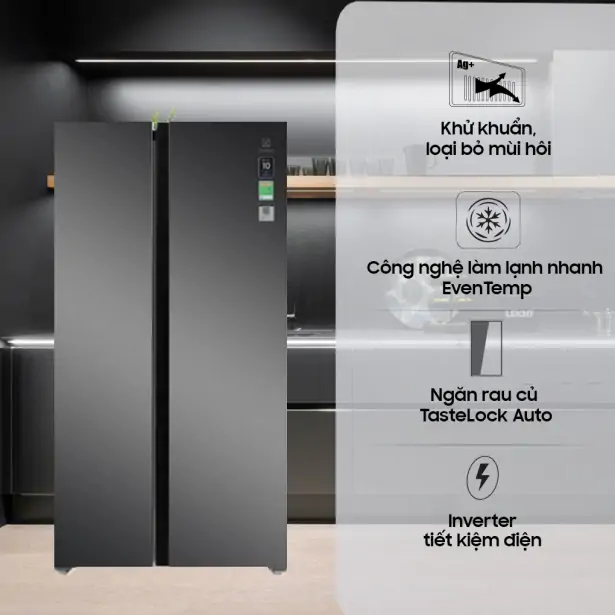 Tủ Lạnh Electrolux Inverter 624 Lít ESE6600A-AVN