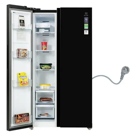 Tủ Lạnh Electrolux Inverter 624 Lít ESE6600A-BVN 1