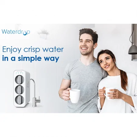 Bộ Lọc Nước Không RO Waterdrop WD-TSC-W 5