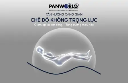Ghế Massage Panworld PW-4422 6