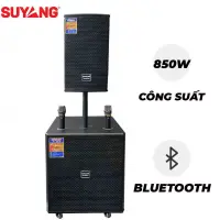 Loa Kéo Suyang P-18B