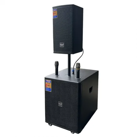 Loa Kéo Suyang P-18B 3