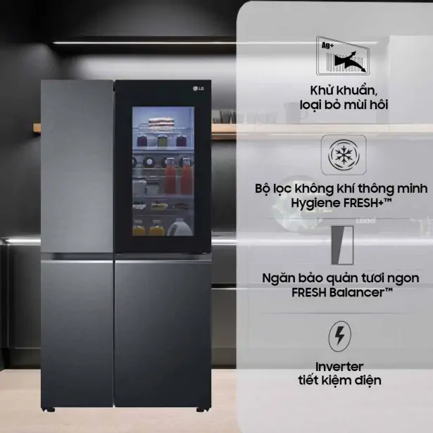 Tủ Lạnh LG Inverter 655 Lít GR-Q257MC