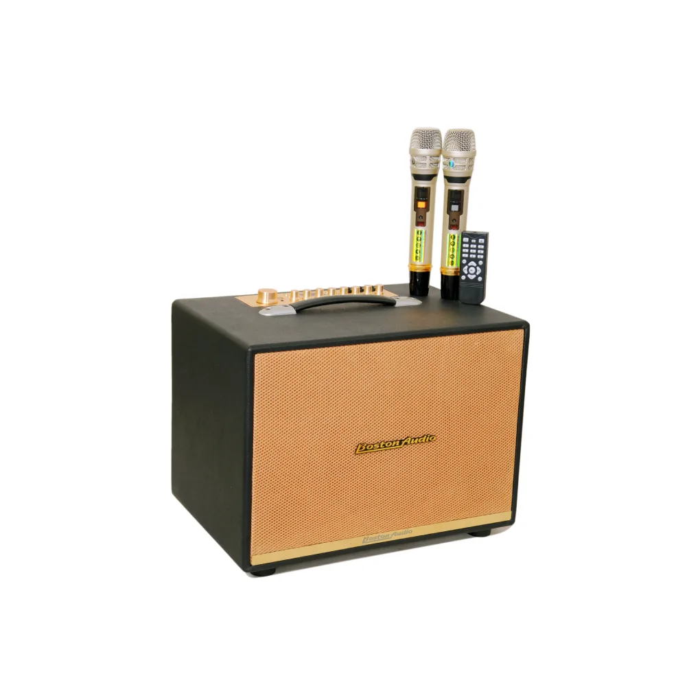 Loa Xách Tay Hiệu Boston Audio BA 9999 VII 1