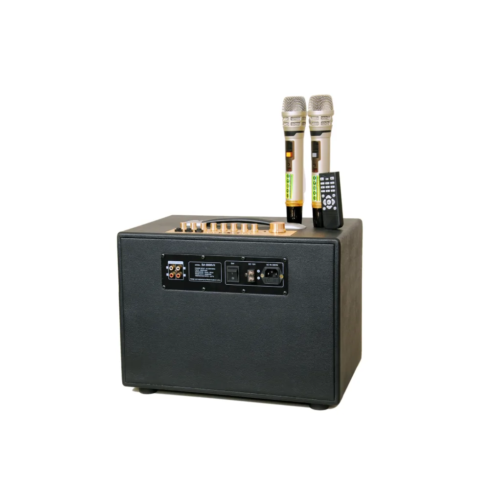 Loa Xách Tay Hiệu Boston Audio BA 9999 VII 3