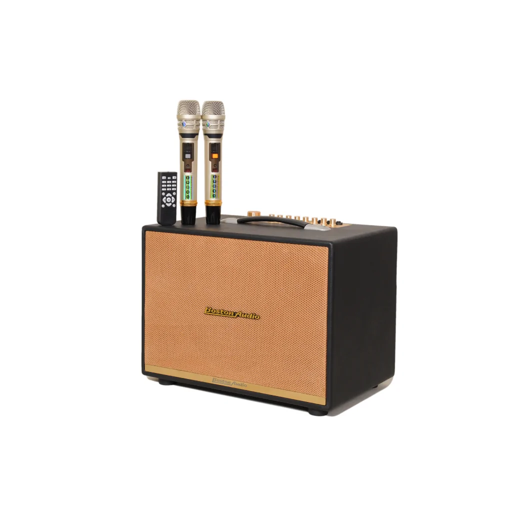 Loa Xách Tay Hiệu Boston Audio BA 9999 VII 4