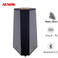 Loa Karaoke Xách tay Acnos CS500
