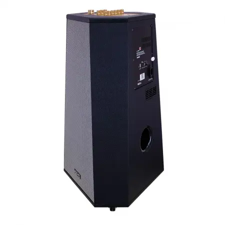 Loa Karaoke Xách tay Acnos CS500 1