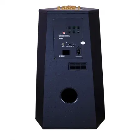 Loa Karaoke Xách tay Acnos CS500 2