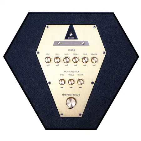 Loa Karaoke Xách tay Acnos CS500 3