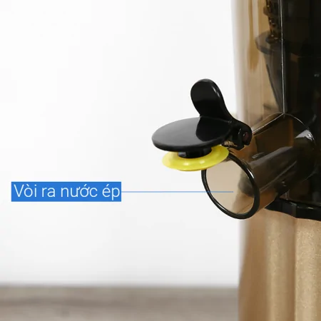 Máy Ép Chậm Ferroli FSJ-200M 10