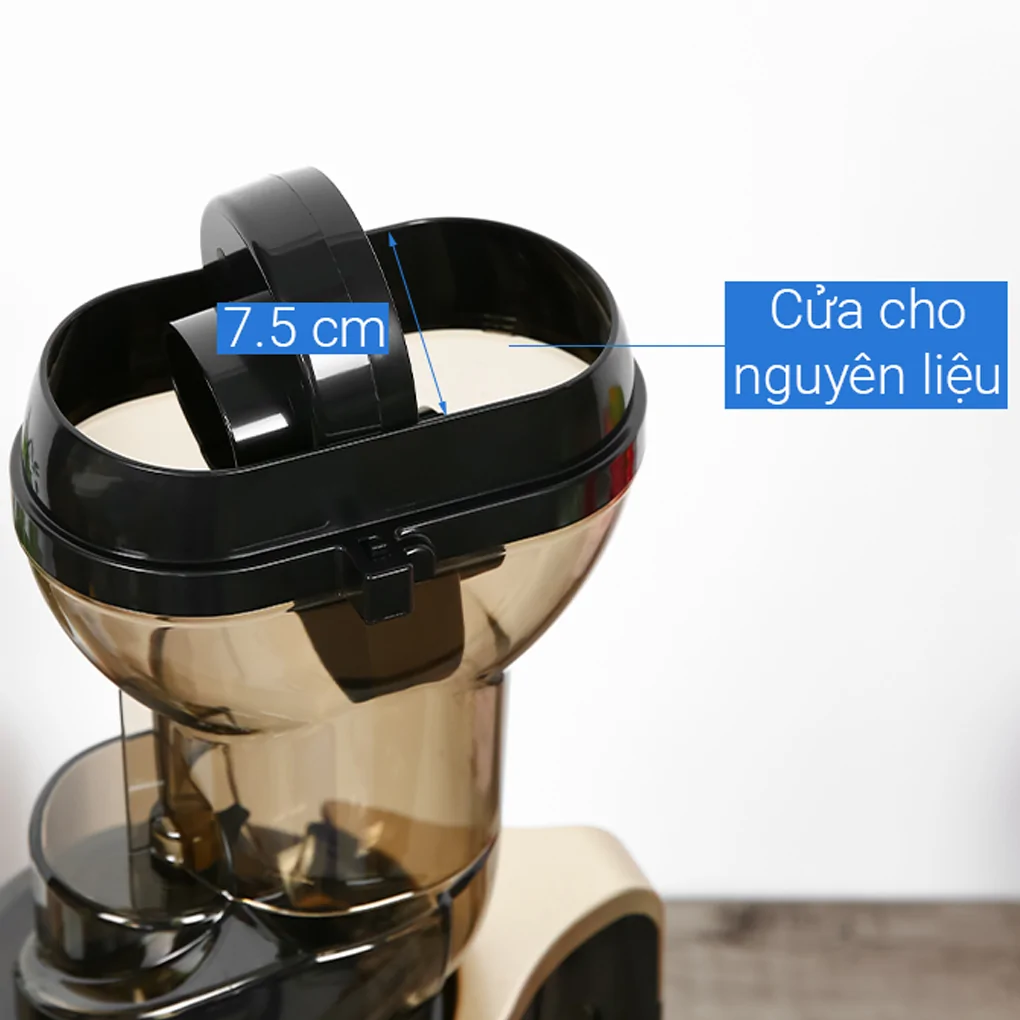 Máy Ép Chậm Ferroli FSJ-200M 13