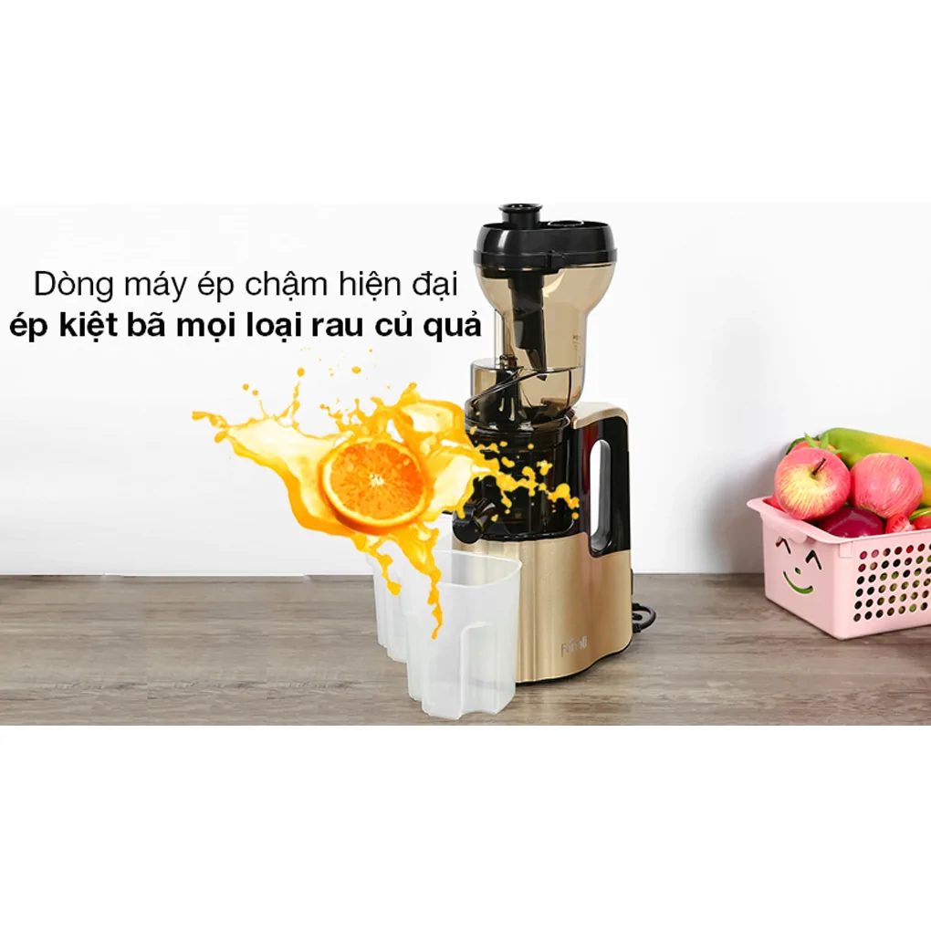 Máy Ép Chậm Ferroli FSJ-200M 1