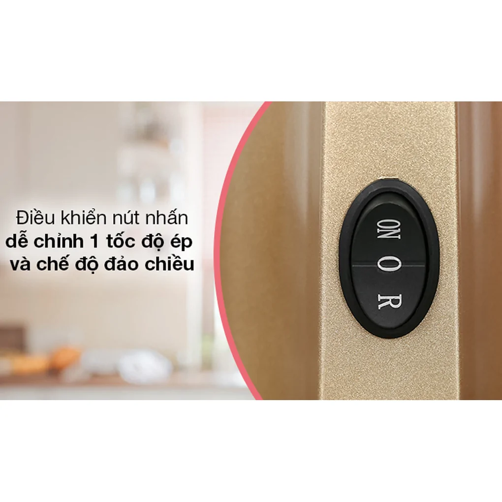 Máy Ép Chậm Ferroli FSJ-200M 3