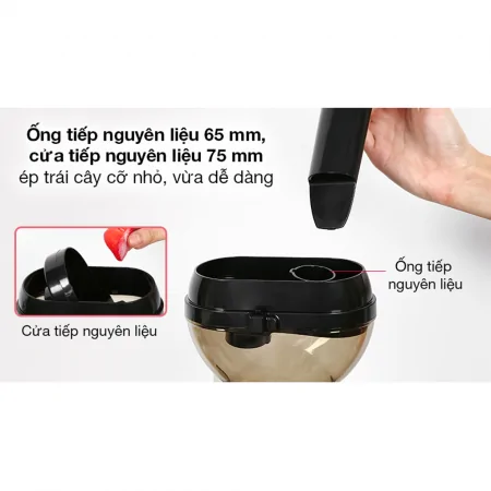 Máy Ép Chậm Ferroli FSJ-200M 4