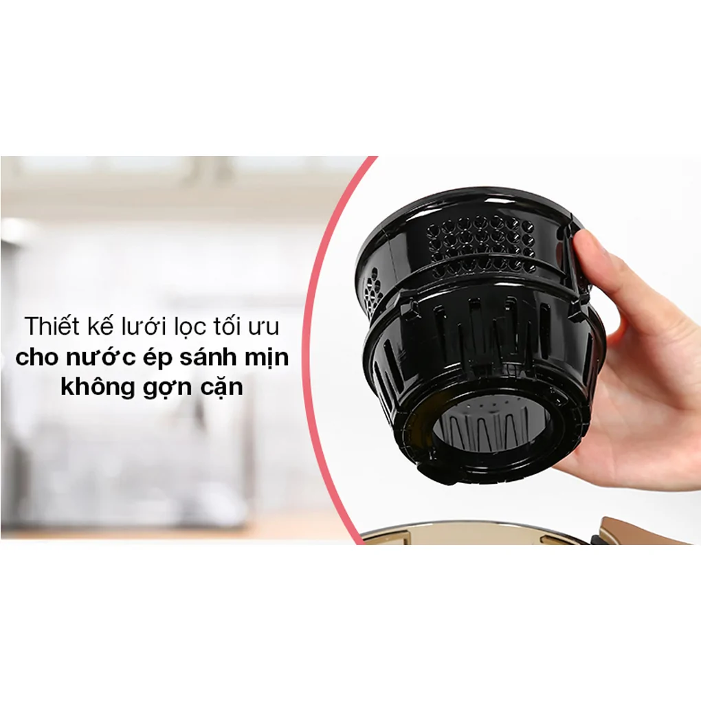 Máy Ép Chậm Ferroli FSJ-200M 5