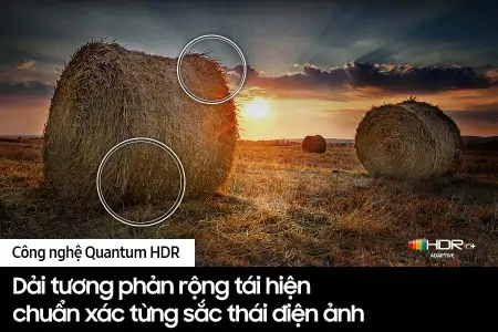 Smart Tivi Samsung QLED 4K 65 inch QA65Q70C 1