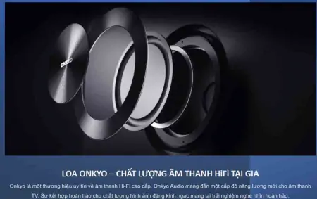 Google Tivi TCL QLED 4K 65 Inch 65C645 10