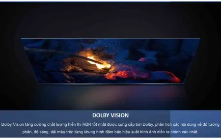 Google Tivi TCL QLED 4K 65 Inch 65C645 7