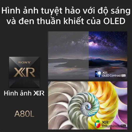 Google Tivi Sony OLED 4K 65 Inch XR-65A80L 2