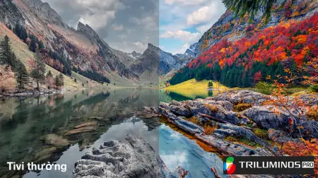 Google Tivi Sony 4K 50 Inch KD-50X80L 9