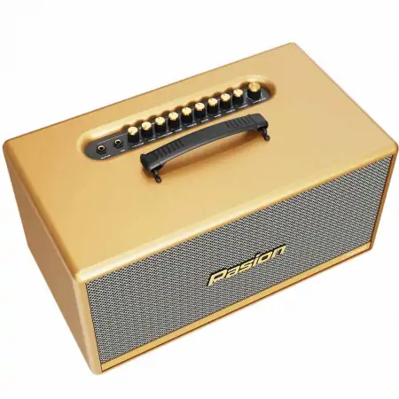 Loa Di Động Xách Tay Paramax PASION 2c (Màu Vàng) 0