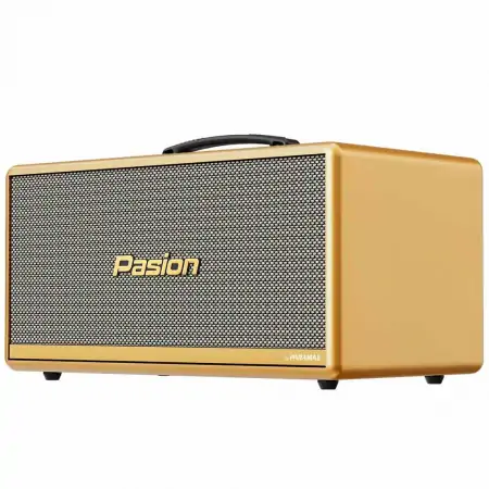 Loa Di Động Xách Tay Paramax PASION 2c (Màu Vàng) 2