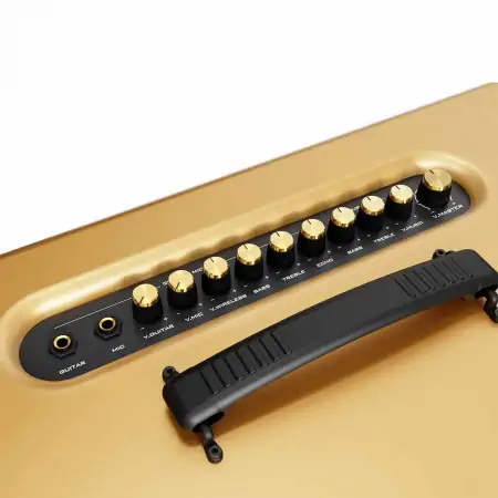 Loa Di Động Xách Tay Paramax PASION 2c (Màu Vàng) 3