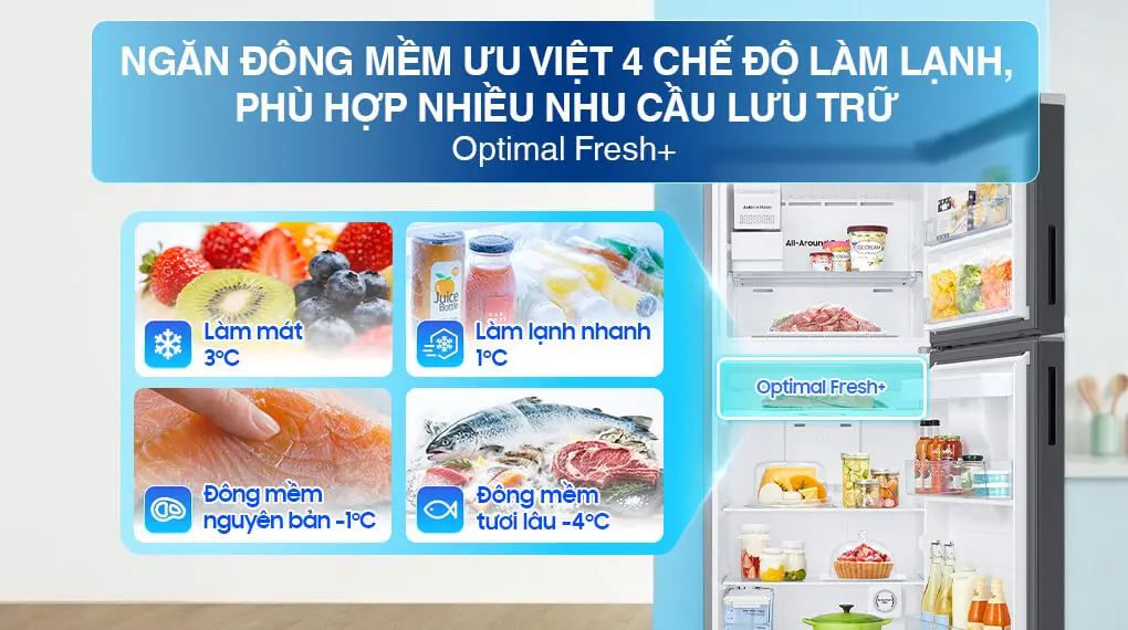Tủ Lạnh Samsung Inverter 406 Lít RT42CG6584B1SV