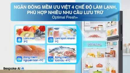 Tủ Lạnh Samsung Bespoke Inverter 406 Lít RT42CB6784C3SV