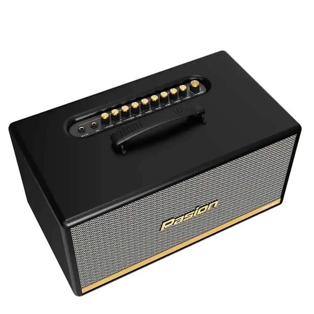 Loa Di Động Xách Tay Paramax PASION 2c (Màu Đen) 0