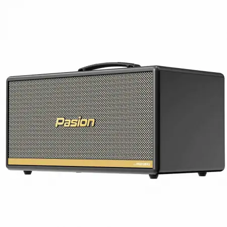 Loa Di Động Xách Tay Paramax PASION 2c (Màu Xám) 0