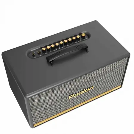 Loa Di Động Xách Tay Paramax PASION 2c (Màu Xám) 1