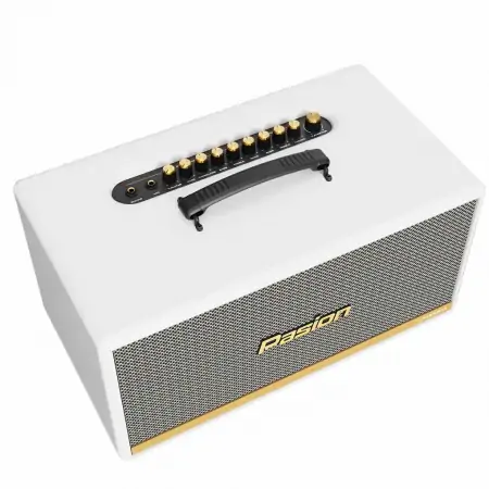 Loa Di Động Xách Tay Paramax PASION 2c (Màu Trắng) 1