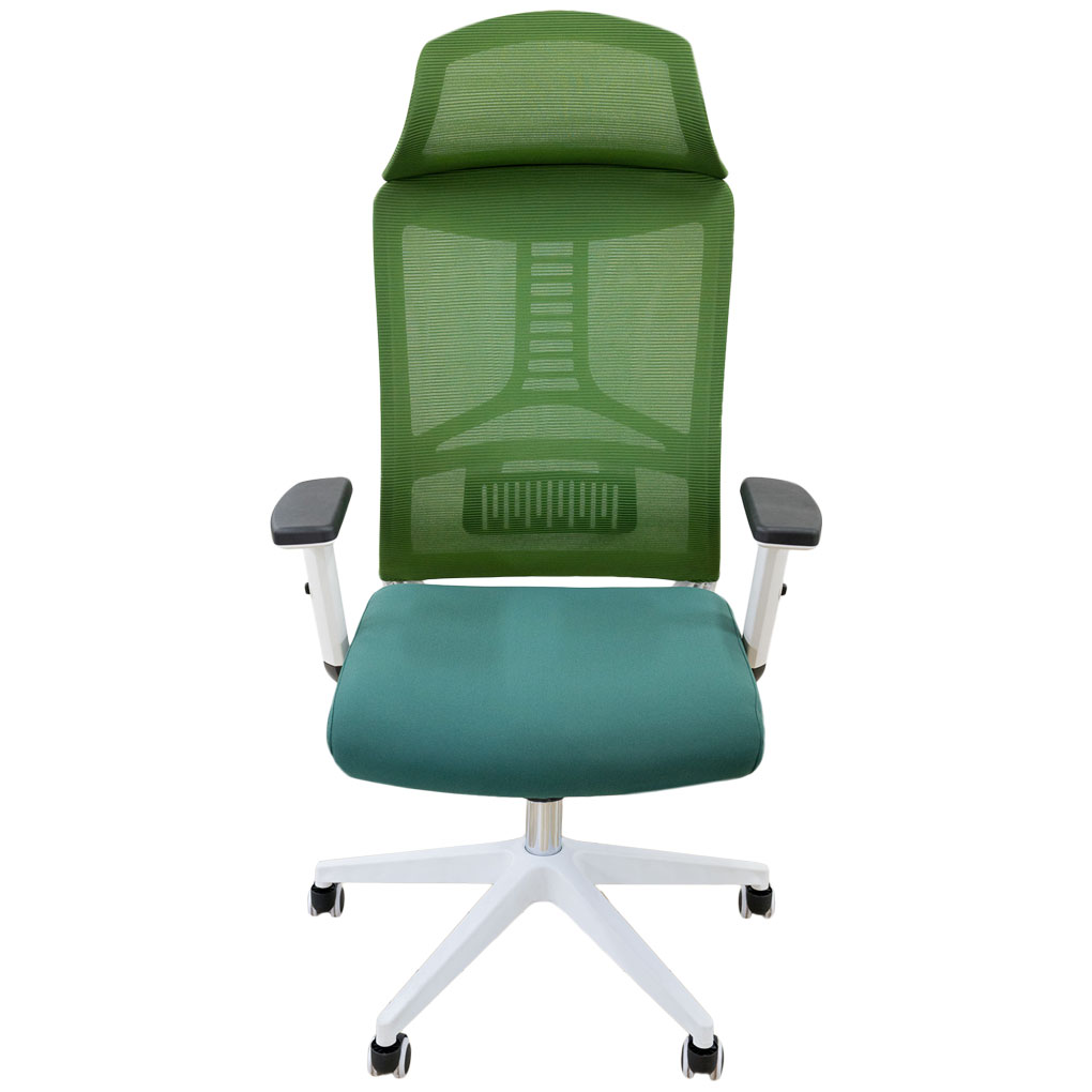 Ghế Văn Phòng ECOOC-2204W Xanh 0