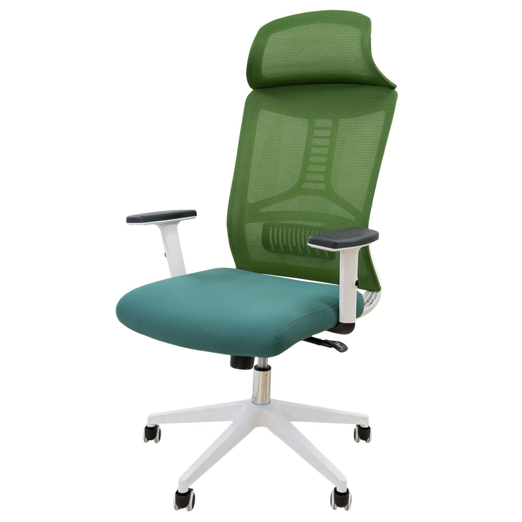 Ghế Văn Phòng ECOOC-2204W Xanh 1