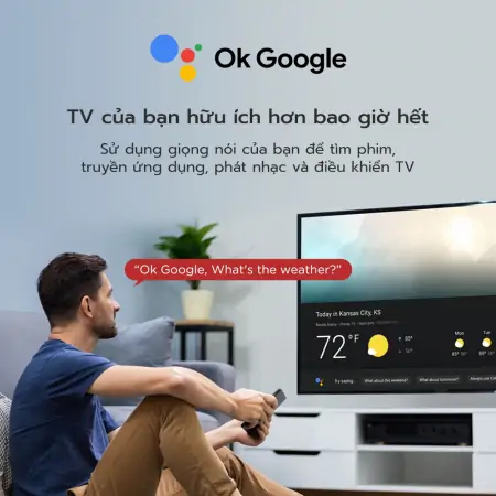 Google Tivi TCL 4K 43 Inch 43T66 1
