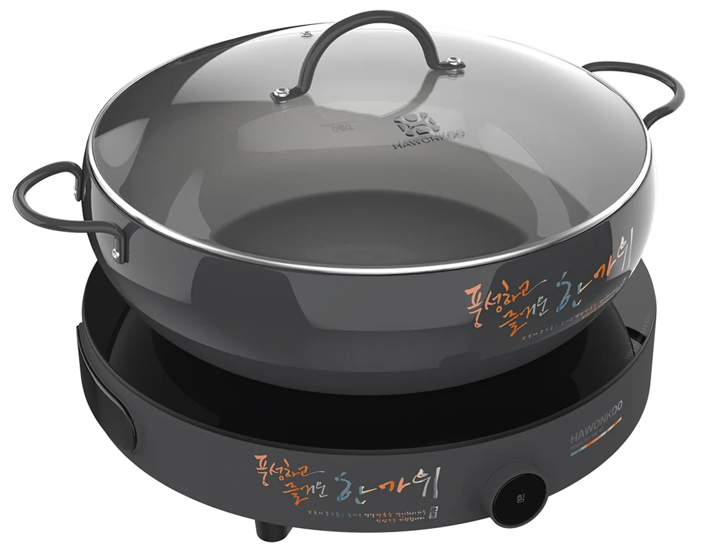 Bếp Điện Từ Đơn Hawonkoo CEH-101-I-GR 9