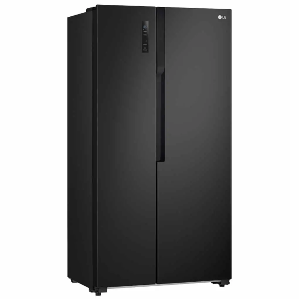 Tủ Lạnh LG Inverter 519 Lít GR-B256BL 0