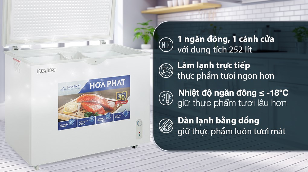 Tủ Đông Hòa Phát 252 Lít HPF AD6252 0