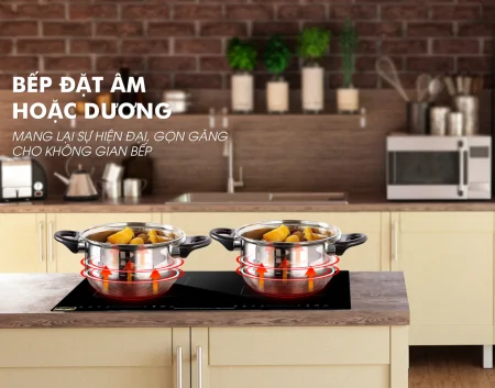 Bếp Điện Từ Đôi Panworld PW-1911 6