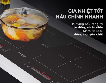 Bếp Đôi Điện Từ Sunhouse SHB9208 NEW - Thái Lan 8