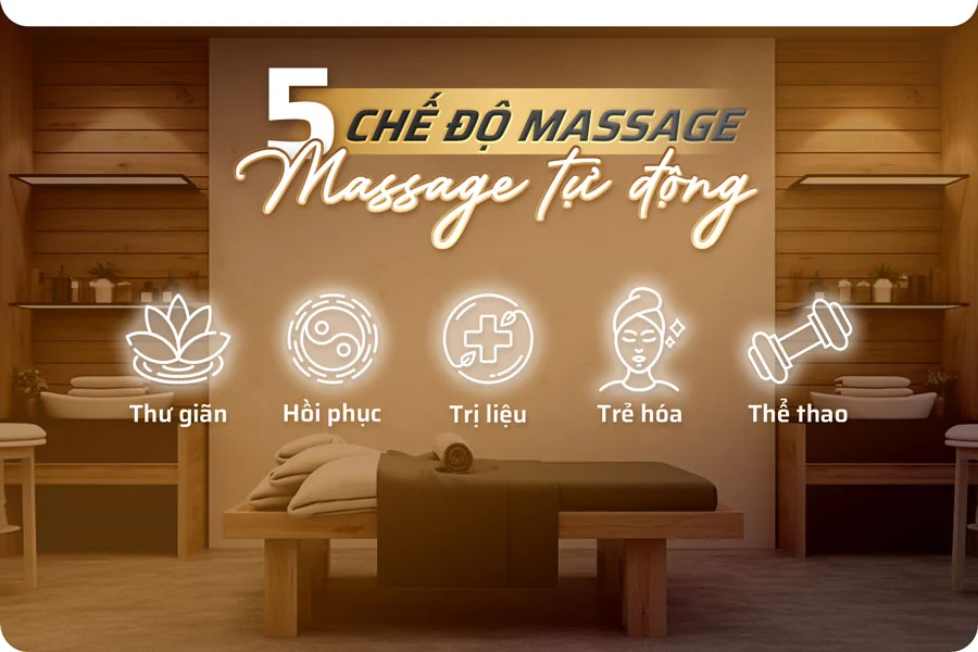 Ghế Massage Fuji Luxury CZ916 9