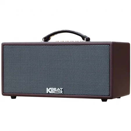 Dàn Âm Thanh Di Động ACNOS KS363H 1