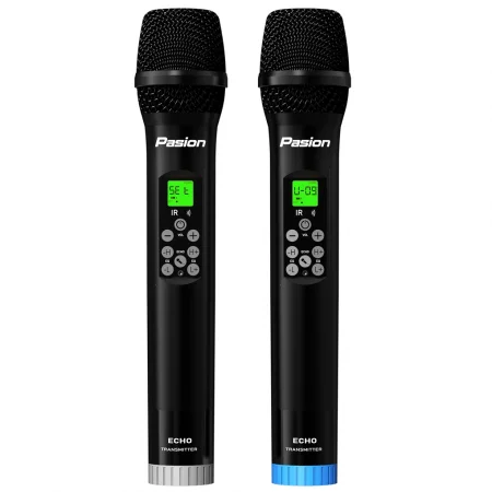 Micro Không Dây Tích Hợp DSP PASION ECHO 0