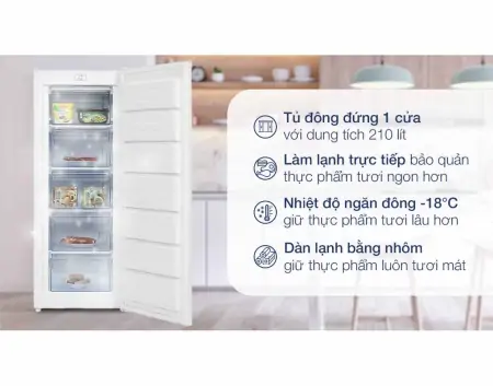 Tủ Đông Alaska 210 Lít IF-215 0